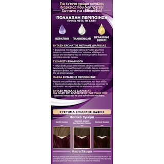 PALETTE | Βαφή Μαλλιών Intensive Color Creme 4.26 Δαμασκηνί 1 Τεμάχιο