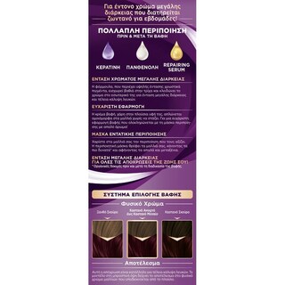 PALETTE | Βαφή Μαλλιών Intensive Color Creme 4.26 Δαμασκηνί 1 Τεμάχιο