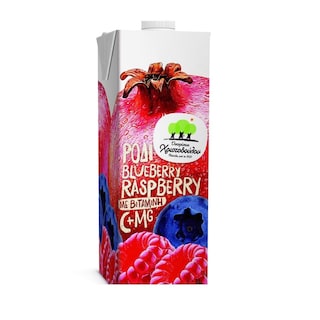ΟΙΚΟΓΕΝΕΙΑ ΧΡΙΣΤΟΔΟΥΛΟΥ | Φρουτοποτό Ρόδι Blueberry Raspberry