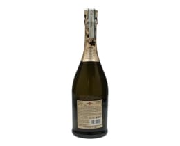 MARTINI | ΟΙΝΟΣ ΑΦΡΩΔΗΣ PROSECCO 750 ML