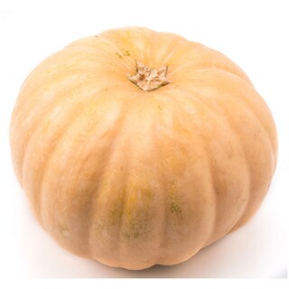 - | ΚΟΛΟΚΥΘΕΣ ΕΛΛΗΝΙΚΕΣ