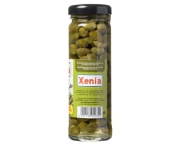 XENIA | .
