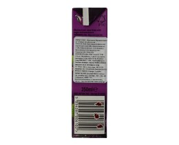 RIBENA | Φρουτοποτό Φραγκοστάφυλο 250ml
