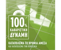 AJAX | Υγρό Καθαρισμού Fete Des Fleurs Λουλούδια Άνοιξης 1lt 1+1 Δώρο