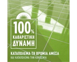 AJAX | Υγρό Καθαρισμού Fete Des Fleurs Λουλούδια Άνοιξης 1lt 1+1 Δώρο