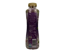 LIFE | ICE TEA ΠΡΑΣΙΝΟ ΤΣΑΪ ΜΠΛΟΥΜΠΕΡΙ ΚΑΙ ΡΑΣΜΠΕΡΙ 500 ML