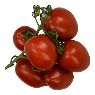 - | POMONTORI  1 KG