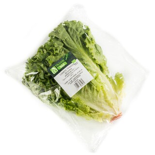 - | ΣΑΛΑΤΑ ΠΡΑΣΙΝΗ ΣΓΟΥΡΗ ΒΙΟΛΟΓΙΚΗΣ ΓΕΩΡΓΙΑΣ ΕΛΛΗΝΙΚΗ 1 ΤΕΜ