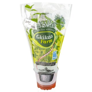 - | Δυόσμος Γλαστράκι Ελληνικός 1 Τεμάχιο