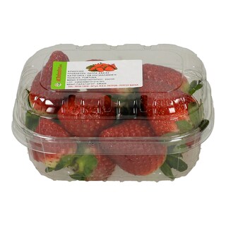 - | ΦΡΑΟΥΛΕΣ ΣΥΣΚΕΥΑΣΜΕΝΕΣ ΕΛΛΗΝΙΚΕΣ