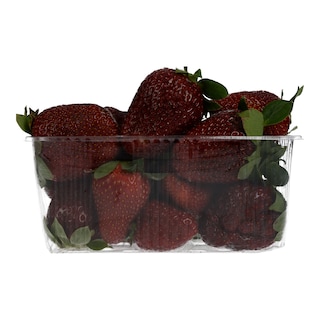 - | ΦΡΑΟΥΛΕΣ ΕΛΛΗΝΙΚΕΣ