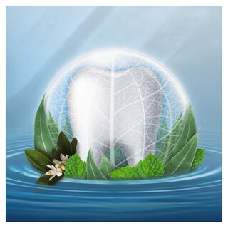 ORAL B | Οδοντόκρεμα Pure Activ Essential 75ml