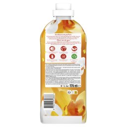 LENOR | Συμπυκνωμένο Μαλακτικό Gold Orchid 56 Μεζούρες