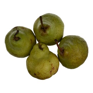 - | PEARS ΠΑΚΑΜΣ ΕΙΣΑΓΩΓΗΣ