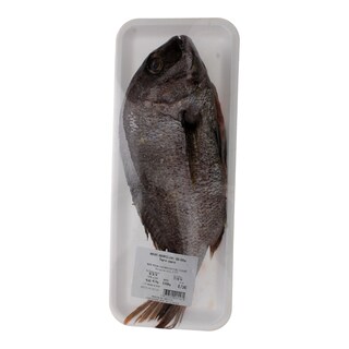 - | COMMON SEA BREAM ΥΔΑΤΟΚ.ΕΛΛ. ΚΑΘΑΡ. ΑΠΕΝ. ΑΠΟΛ. ΝΩΠΟ ΣΥΣΚ. 400GR 600GR