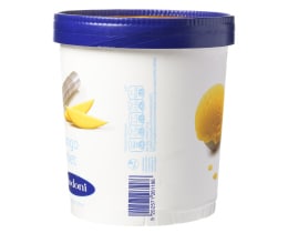 ΔΩΔΩΝΗ ΠΑΓΩΤΟ | Παγωτό Mango Sorbet 750 ml