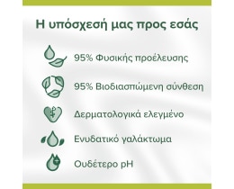 PALMOLIVE | Αφρόλουτρο Naturals Μέλι & Γάλα 650ml 1+1 Δώρο