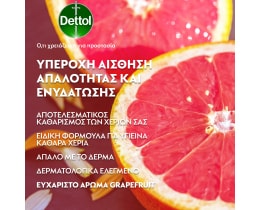 DETTOL | Κρεμοσάπουνο Αντιβακτηριδιακό Grapefruit Ανταλλακτικό 500ml