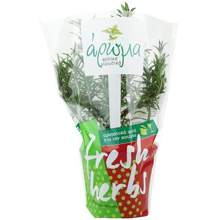 AROMA | ROSEMARY AROMA IN POT PER PIECE GREEK 1 ΤΕΜ