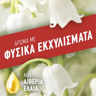 AJAX | Υγρό Καθαρισμού Fete Des Fleurs Λουλούδια Άνοιξης 1lt 1+1 Δώρο