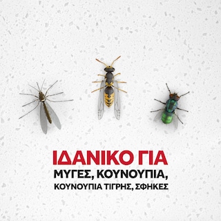 RAID | Εντομοκτόνο Essentials Flying 400ml