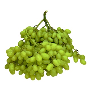 - | ΣΤΑΦΥΛΙΑ ΣΤΑΦΙΔΑ ΣΟΥΛΤΑΝΙΝΑ ΕΛΛΗΝΙΚΗ