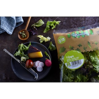 ΦΡΕΣΚΟΥΛΗΣ | SALAD TERPSI ΒΙΟ FRESKOULIS 180 GR ΤΕΡΨΗ ΒΙΟ 180 GR