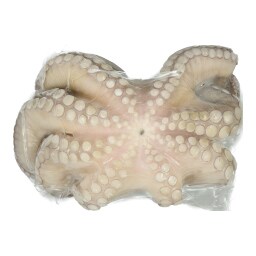 ΑΒ | Χταπόδι Μεξικού Τ6