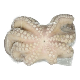 ΑΒ | Χταπόδι Μεξικού Τ6