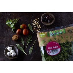 ΦΡΕΣΚΟΥΛΗΣ | Salad Wild Arugula Bio 100g
