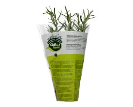 - | ΔΕΝΔΡΟΛΙΒΑΝΟ ΣΕ ΓΛΑΣΤΡΑΚΙ ΤΕΜΑΧΙΟ ΕΛΛΗΝΙΚΟ 1 TEM