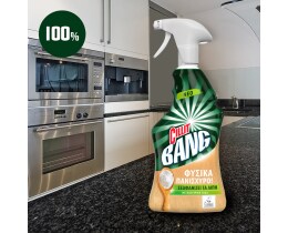 CILLIT BANG | Spray Καθαρισμού Λιπών Φυσικά Πανίσχυρο Μαγειρική Σόδα 750ml