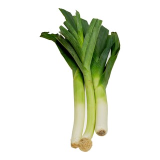 - | ΠΡΑΣΣΑ ΕΙΣΑΓΩΓΗΣ