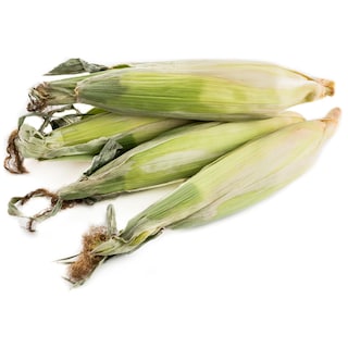 - | ΚΑΛΑΜΠΟΚΙ ΣΟΥΙΤ ΚΟΡΝ ΕΛΛΗΝΙΚΟ 1 ΤΕΜ