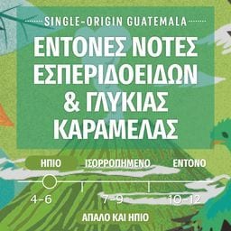 STARBUCKS | Κάψουλες Καφέ Espresso Guatemala 52g