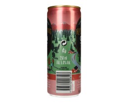KOPPARBERG | Αλκοολούχο Ποτό Strawberry & Lime 250ml