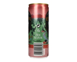 KOPPARBERG | Αλκοολούχο Ποτό Strawberry & Lime 250ml