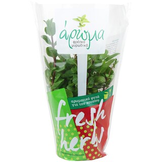 AROMA | SPEARMINT AROMA IN POT PER PIECE GREEK 1 ΤΕΜ