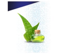 GILLETTE | FOAM  250ML