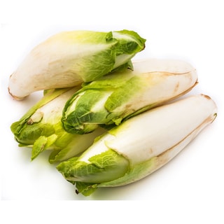 - | ΣΙΚΟΡΕ ΕΙΣΑΓΩΓΗΣ