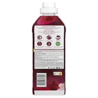 LENOR | Συμπυκνωμένο Μαλακτικό Ruby Jasmine 40 Μεζούρες
