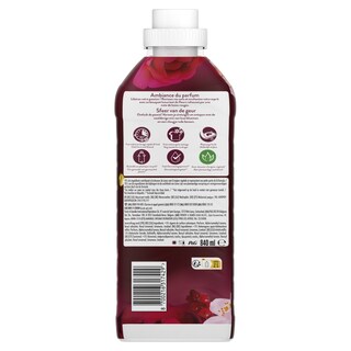 LENOR | Συμπυκνωμένο Μαλακτικό Ruby Jasmine 40 Μεζούρες