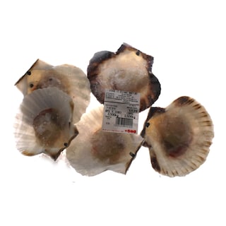 - | ΧΤΕΝΙΑ ΜΙΣΟ ΚΕΛΥΦΟΣ ΚΑΤΕΨΥΓΜΕΝΑ ΤΥΠΟΠΟΙΗΜΕΝΑ 500 GR