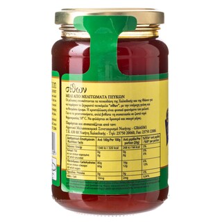 ΣΙΘΩΝ | HONEY  450 GR