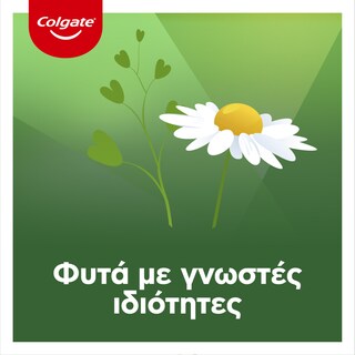 COLGATE | Οδοντόκρεμα Herbal 75ml