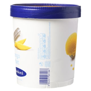 ΔΩΔΩΝΗ ΠΑΓΩΤΟ | Παγωτό Mango Sorbet 750 ml
