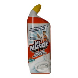 MR.MUSCLE | ΥΓΡΟ ΤΟΥΑΛΕΤΑΣ ΕΥΚΑΛΥΠΤΟΣ 750ML