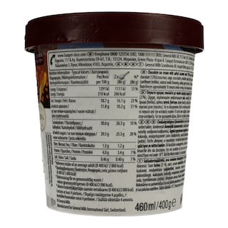 HAAGEN DAZS | HDZS CHOC SALTED CARAMEL 460ML/400G