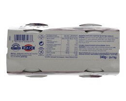 FRUYO | FRUYO BLUEBERRY 0%  2x170GR