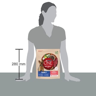 PURINA ONE | Σκυλοτροφή One Mini Adult Βοδινό Με Ρύζι 800 gr